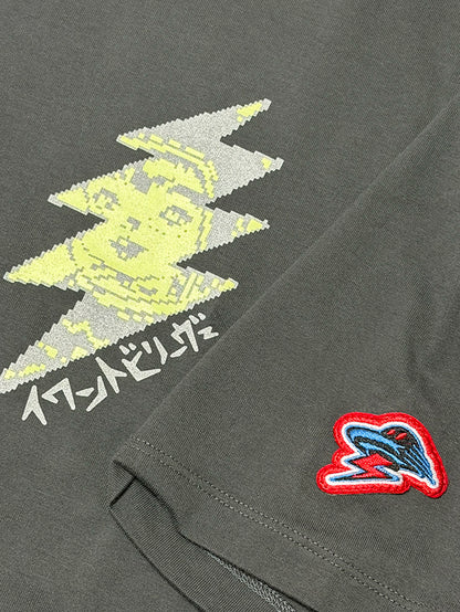 PYRAMID UFO CLUB 2026　グレージュ　Greige